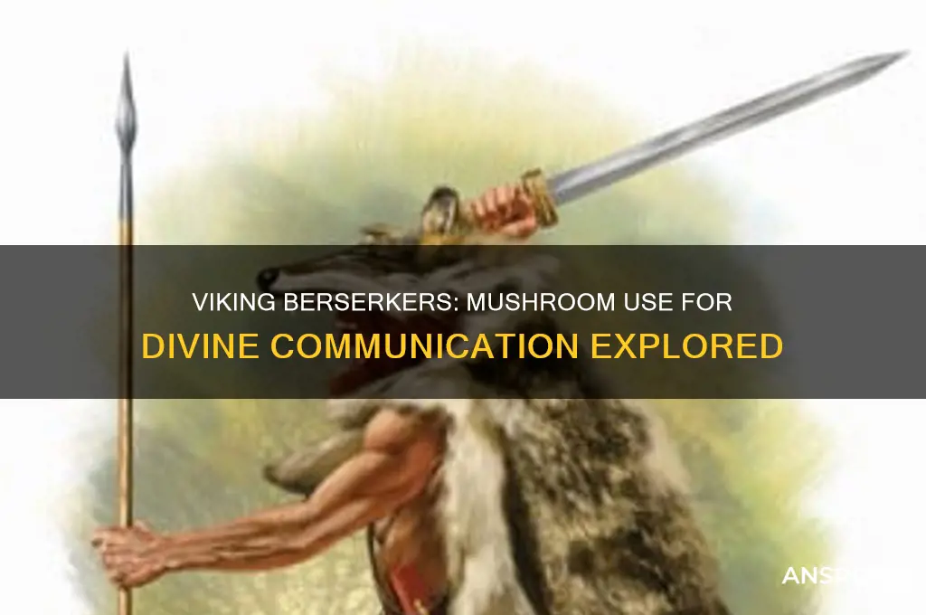 did the vikings take mushrooms to speak to the gods