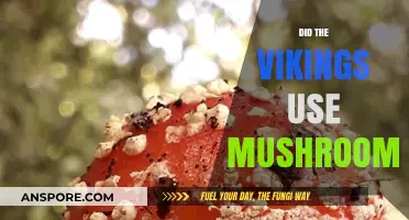 Did Vikings Use Mushrooms? Unveiling Ancient Nordic Fungal Secrets