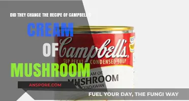 Campbell's Cream of Mushroom Recipe: Has It Changed? What to Know