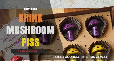 Viking's Mushroom Tea: A Historical Health Tonic?