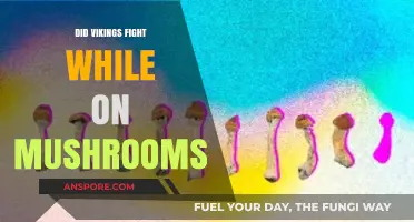 Viking Berserkers: Mushroom-Fueled Warriors or Mythical Legends?