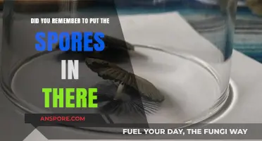 Spores Forgotten? A Crucial Step You Might Have Missed in Your Project