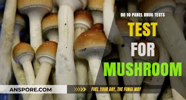 Do 10-Panel Drug Tests Detect Psilocybin Mushrooms? Find Out Here