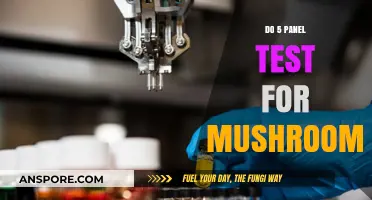 Unveiling Mushroom Insights: The Comprehensive 5-Panel Testing Guide