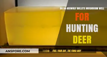 Effective Deer Hunting: 50 Beowulf Bullet Mushrooming Performance Explained