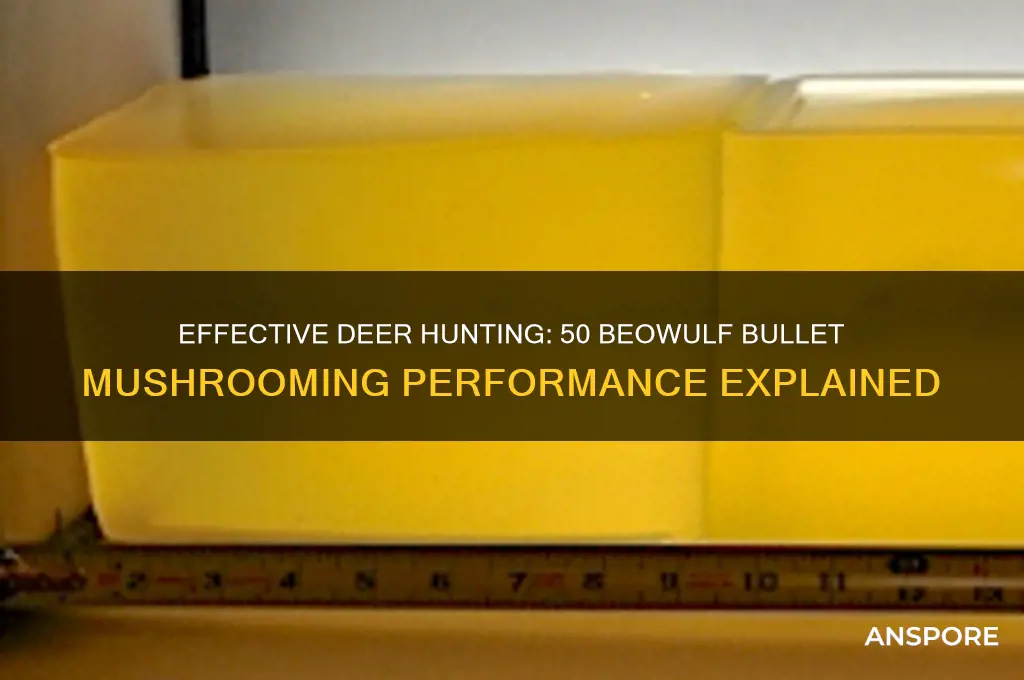 do 50 beowulf bullets mushroom well for hunting deer