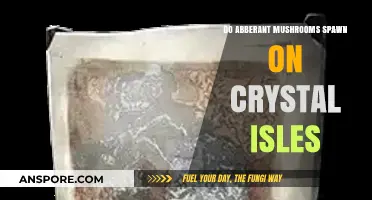 Crystal Isles Mushroom Mystery: Do Aberrant Fungi Thrive There?
