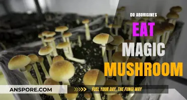 Exploring Aboriginal Traditions: Magic Mushrooms in Indigenous Australian Culture