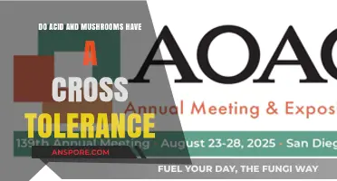 Cross-Tolerance Explained: Acid and Mushrooms' Shared Effects and Limits