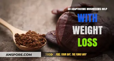 Adaptogenic Mushrooms and Weight Loss: Fact or Fiction?