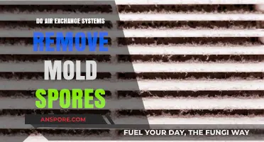 Air Exchange Systems: Effective Mold Spore Removal Solutions Explained