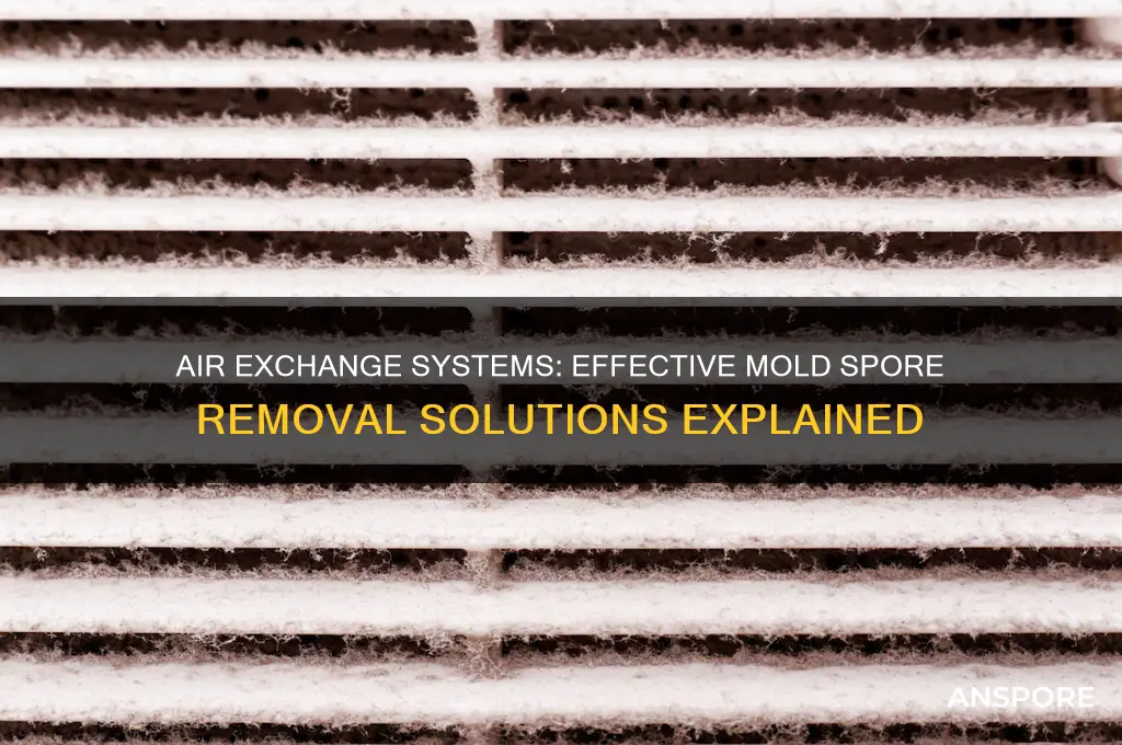 do air exchange systems remove mold spores