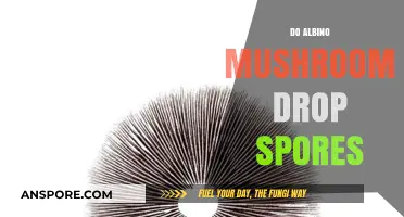 Do Albino Mushrooms Drop Spores? Unveiling the Truth Behind Albino Strains