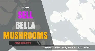 Aldi's Mushroom Selection: Do They Sell Bella Mushrooms?