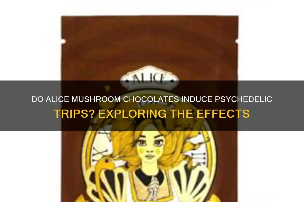 do alice mushroom chocolates make you trip