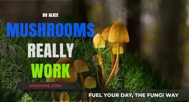 Magic Mushrooms: Do They Work?