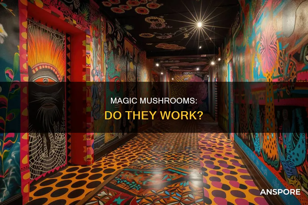 do alice mushrooms really work