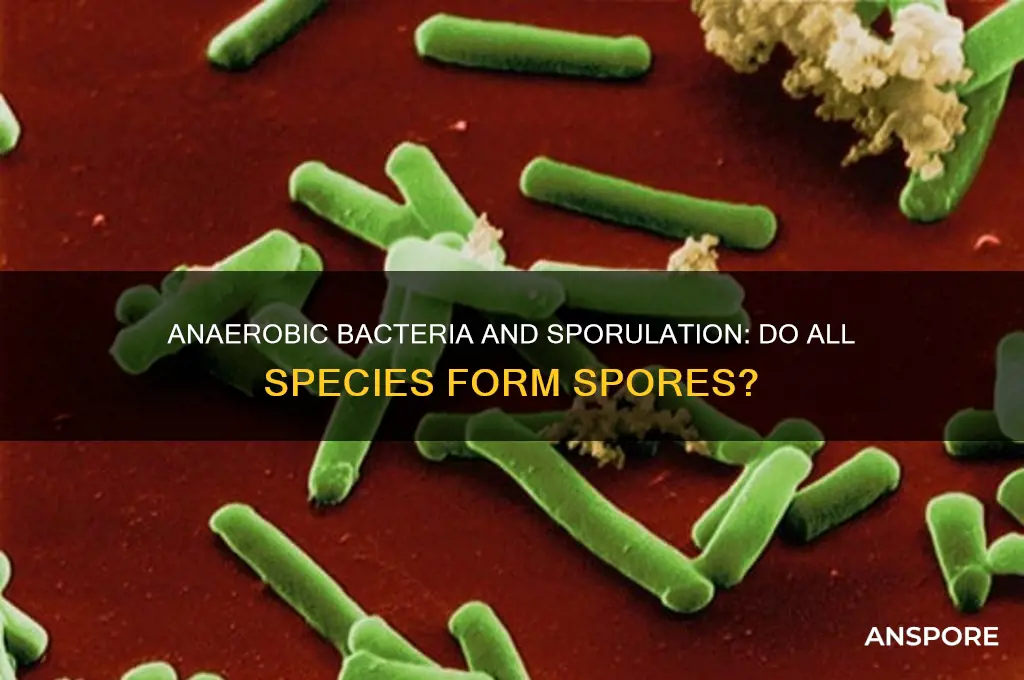 do all anaerobic bacteria form spores