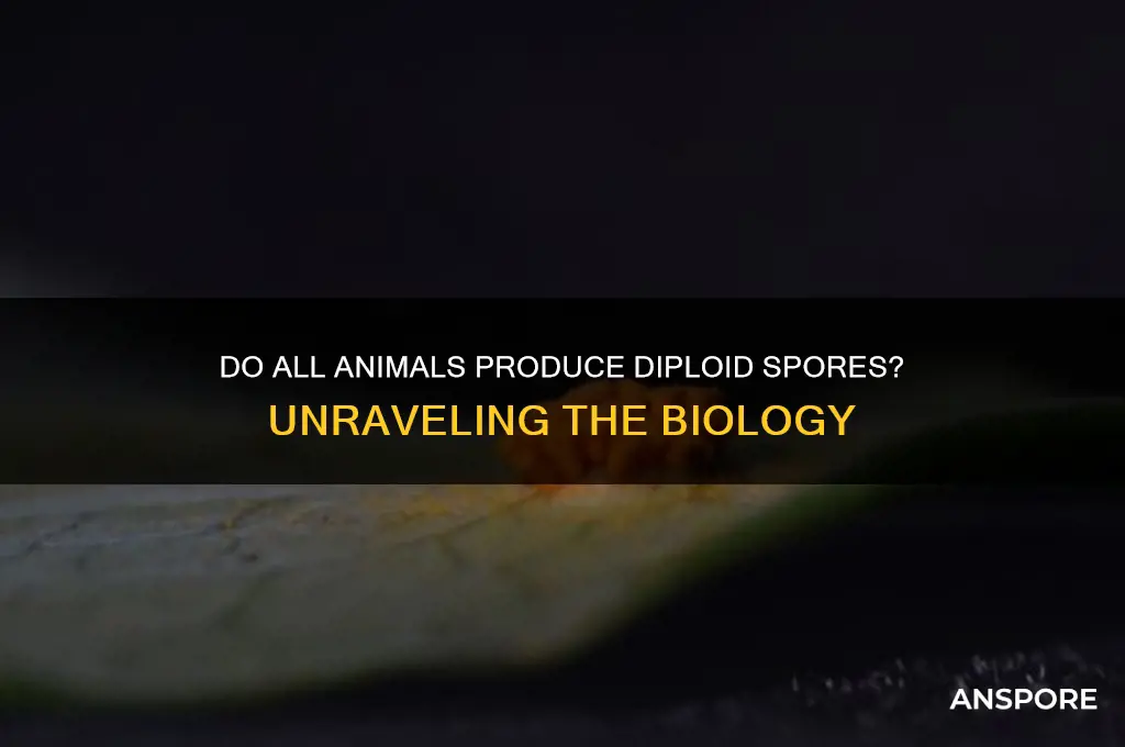 do all animals produce diploid spores