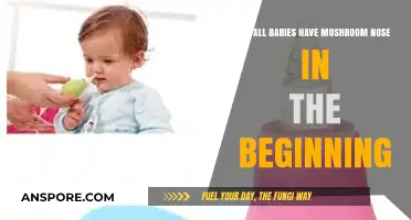 Why Newborns Often Have Mushroom-Shaped Noses: Unveiling the Truth