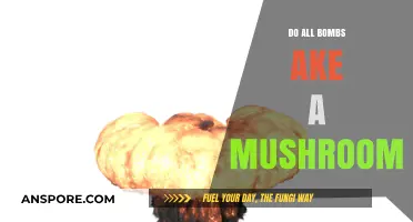 Do All Bombs Create Mushroom Clouds? Unraveling the Myth