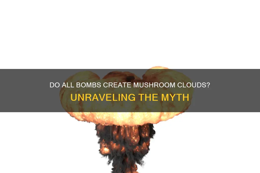 do all bombs ake a mushroom
