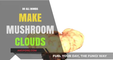 Do All Bombs Create Mushroom Clouds? Unraveling the Myth and Science