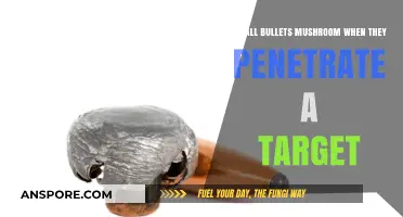 Do All Bullets Mushroom on Impact? Debunking Ammunition Expansion Myths
