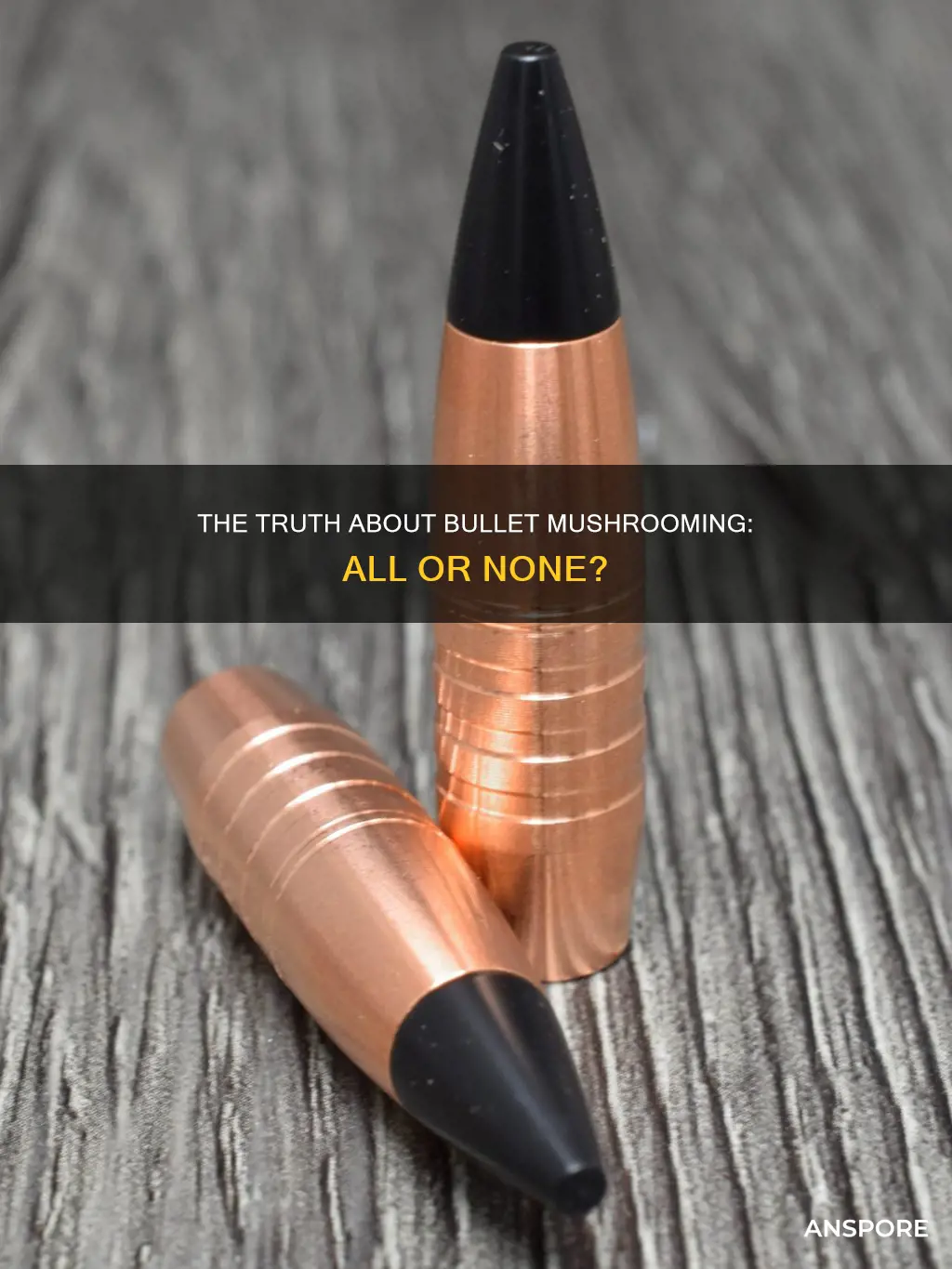 do all bullets mushroom