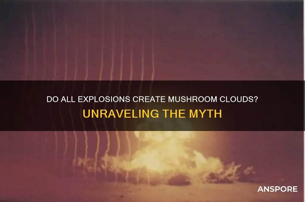 do all explosions cause mushroom clouds