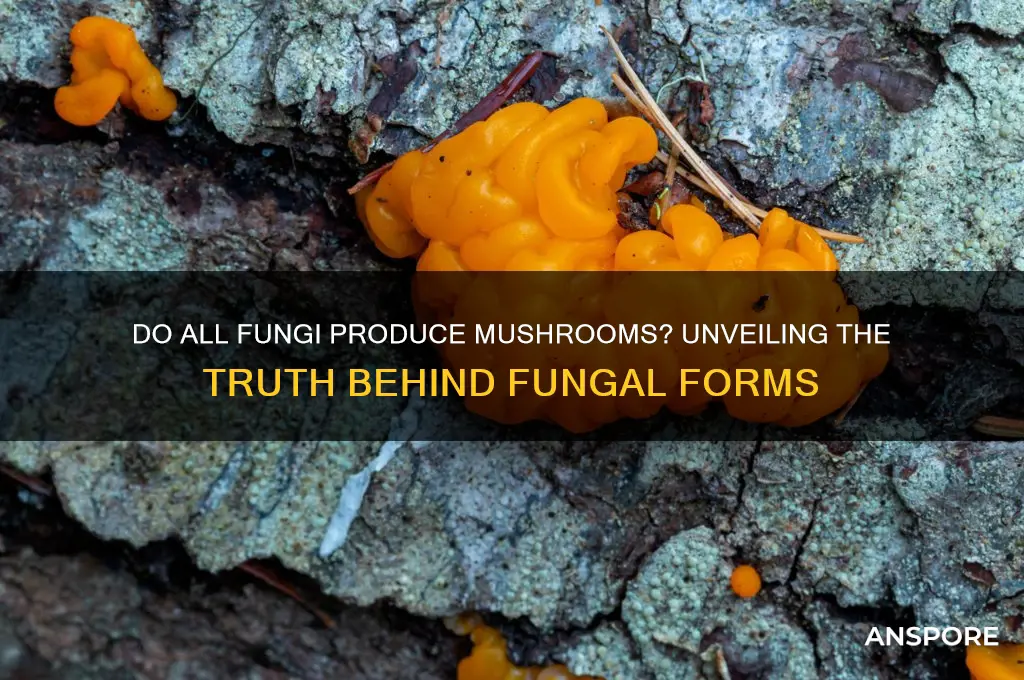 do all fungi make mushrooms