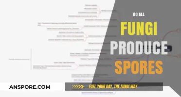 Do All Fungi Produce Spores? Unraveling the Fungal Reproduction Mystery