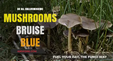 Do All Hallucinogenic Mushrooms Bruise Blue? Unveiling the Myth
