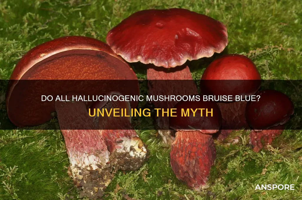 do all hallucinogenic mushrooms bruise blue
