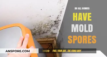 Do All Homes Harbor Mold Spores? Uncovering the Hidden Truth