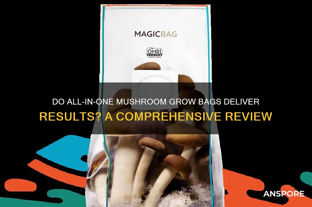 do all in one mushroom grow bags work