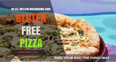 Mellow Mushroom Gluten-Free Pizza Options: What You Need to Know