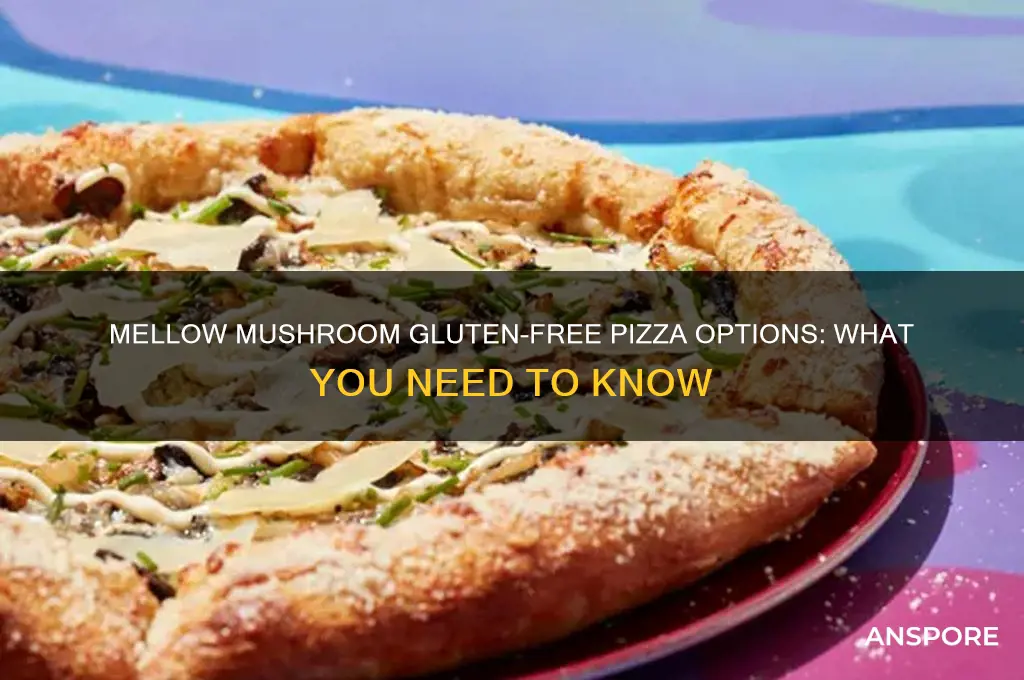 do all mellow mushrooms have gluten free pizza