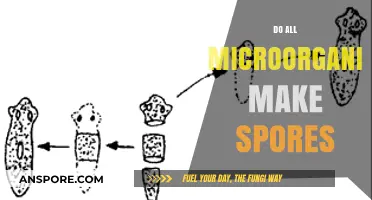 Do All Microorganisms Form Spores? Unveiling the Truth