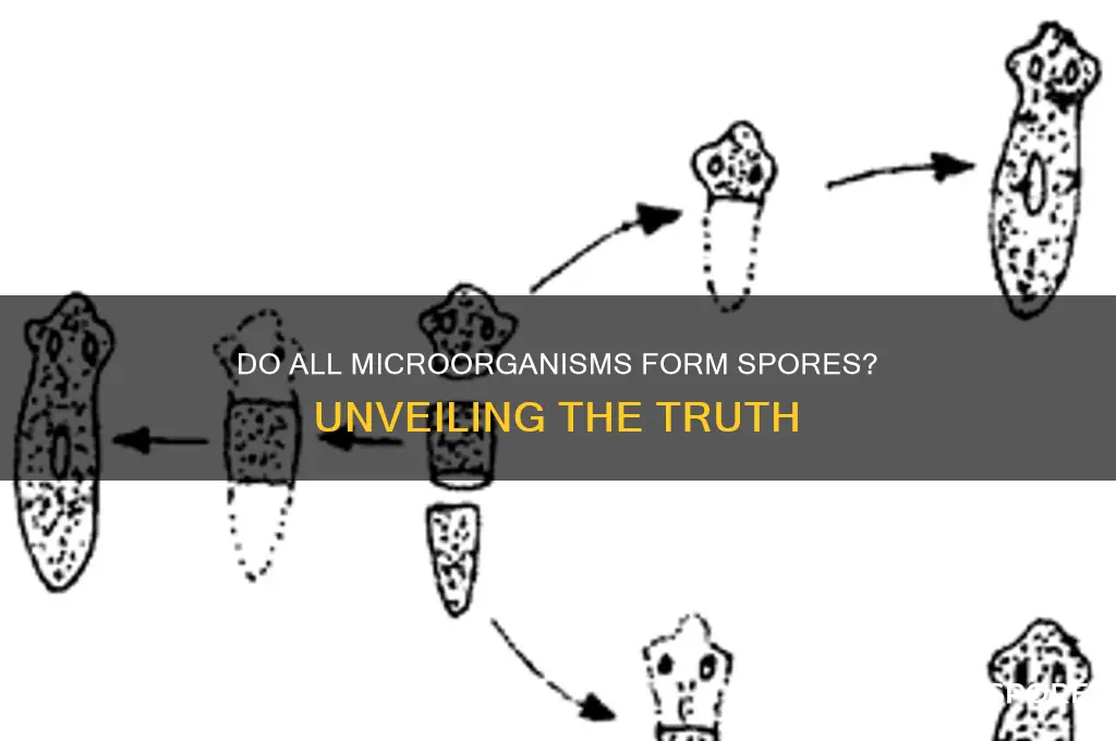do all microorganisms make spores