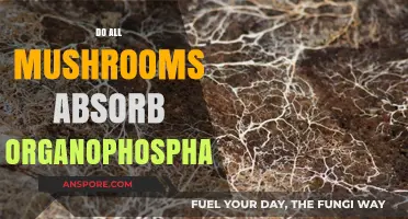 Mushrooms and Organophosphates: A Selective Absorption Story