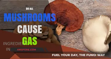 Mushroom Consumption: Gas and Bloating