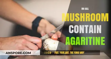 Mushroom Mystery: Agaritine Content in Fungi Explored