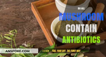 Mushrooms: Nature's Antibiotics?