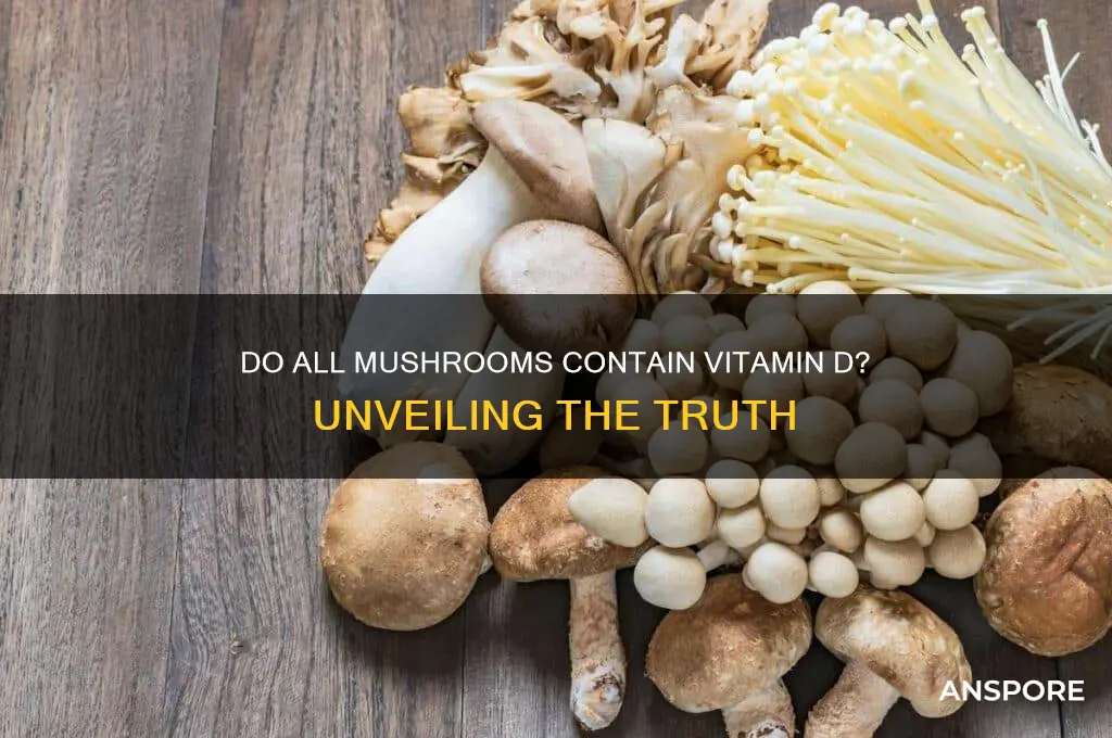 do all mushrooms contain vit d