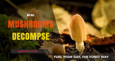 Mushrooms: Decomposing Nature's Way