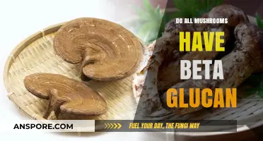 Do All Mushrooms Contain Beta Glucan? Unveiling the Truth