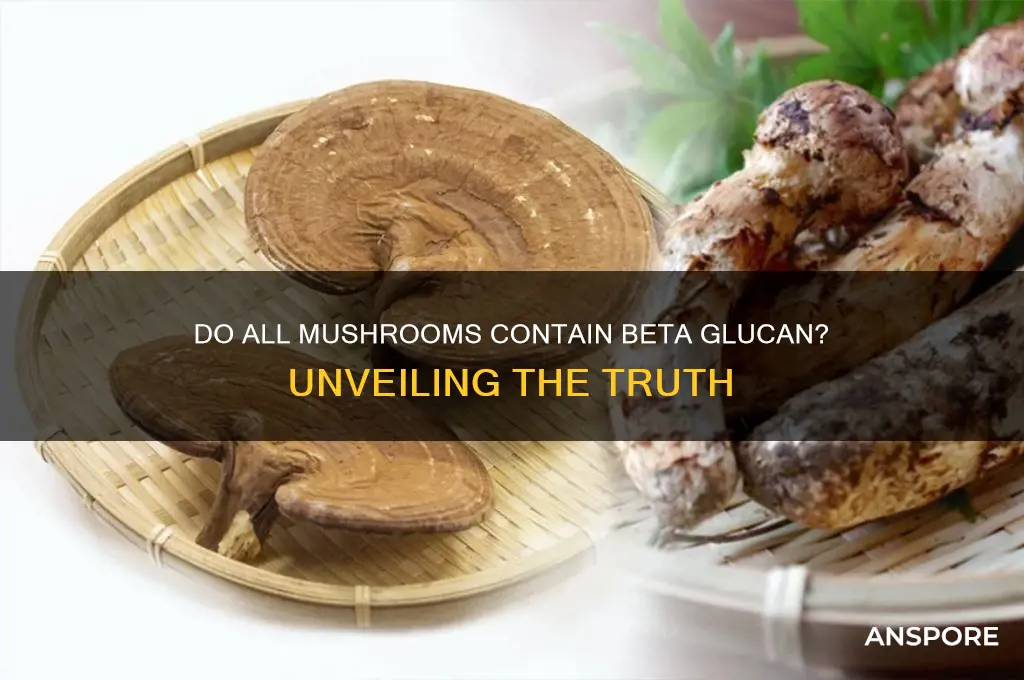 do all mushrooms have beta glucan