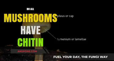 Chitin in Mushrooms: A Universal Feature?