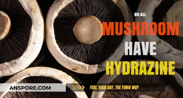 Hydrazine in Mushrooms: A Universal Truth or Myth?
